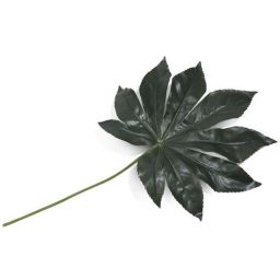 Декорација, Fatsia leaf